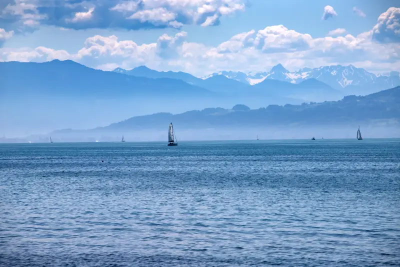 Bodensee mit Hund