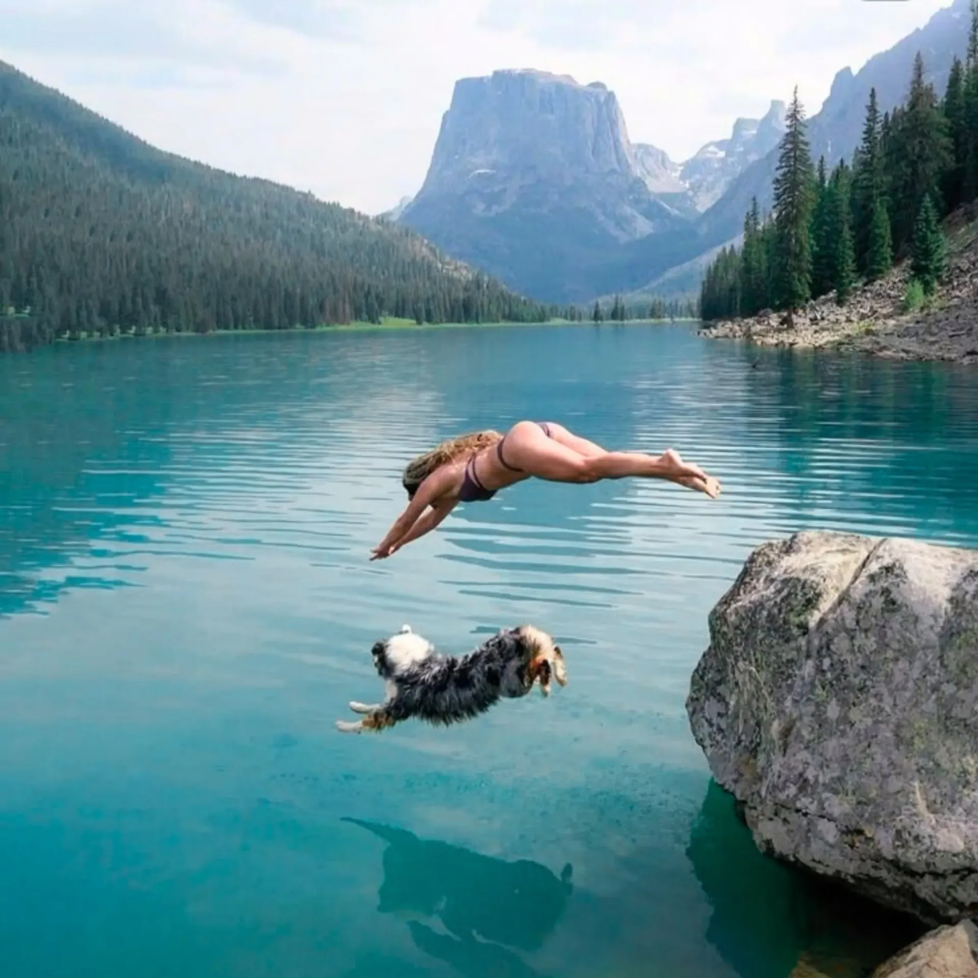 Seeurlaub mit Hund